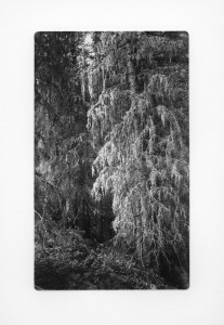 Sticks and Stones 14 